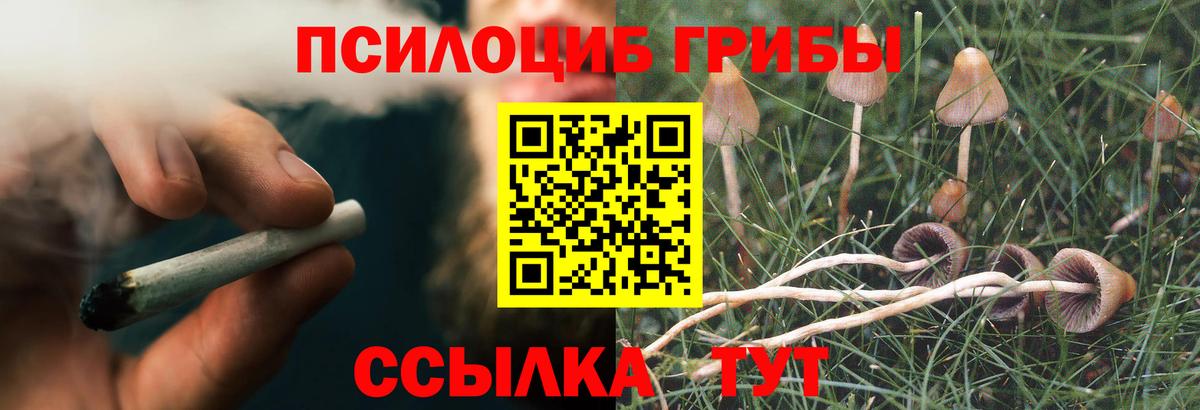 Галлюциногенные грибы Magic Shrooms Гай